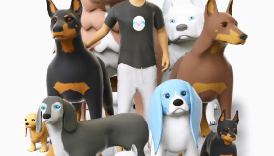 LightdogsPack@3x