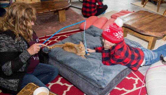 44857087_528859217540295_4764866890327654400_o