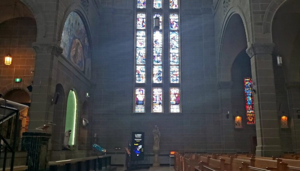 67777737_525441514663838_7620872476897050624_n (2)