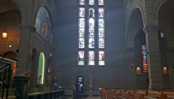 67777737_525441514663838_7620872476897050624_n (2)