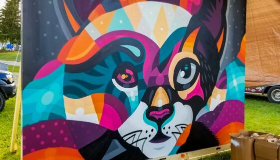 IMG_20190713_205450_975-2