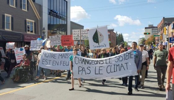 70885347_400274347582523_1669530590560387072_n