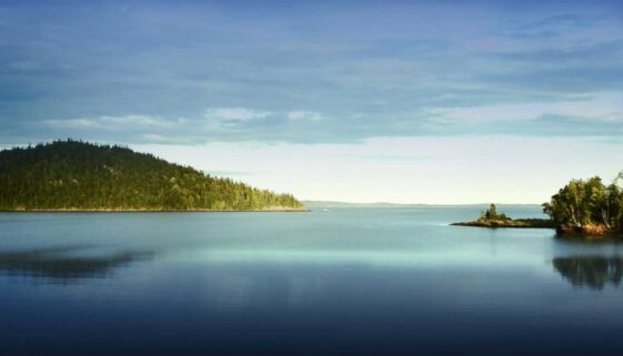 Main image - bay(1)