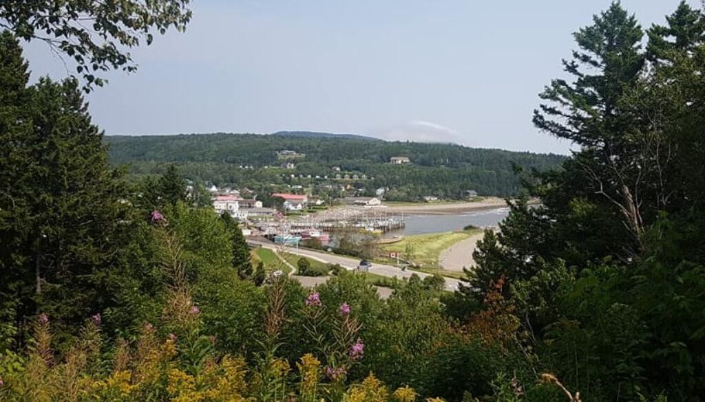 48396850_10216170879198578_7641848165162811392_n