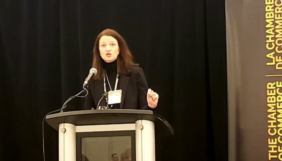 75226537_2484206404960137_7370660730342735872_n