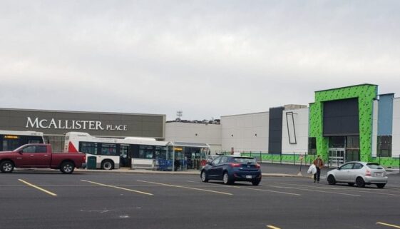 80021741_1306823502835456_5144555403886985216_n