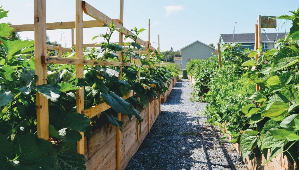 growing place 4