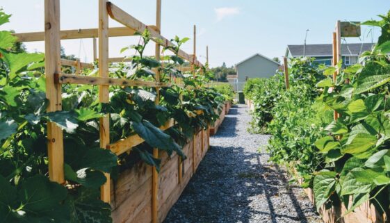 growing place 4