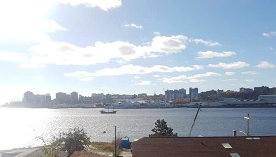 81250114_10219013222255378_5035923500443893760_n