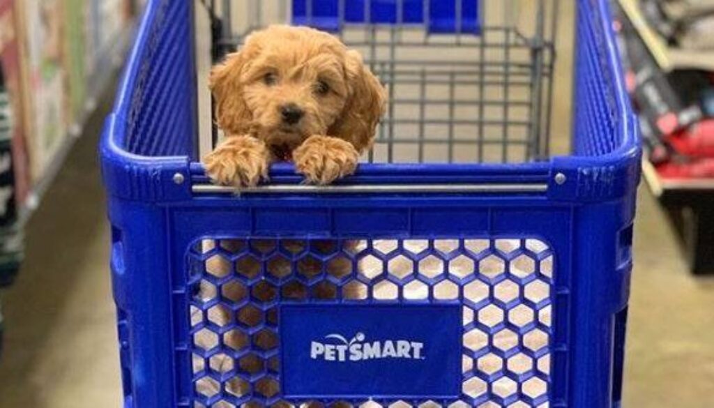Petsmart