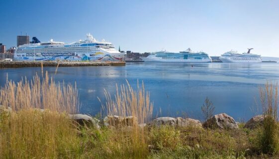 triple ship day - Lance Timmons