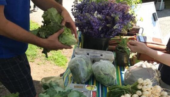 65078761_2048248465285263_6653525471084412928_n