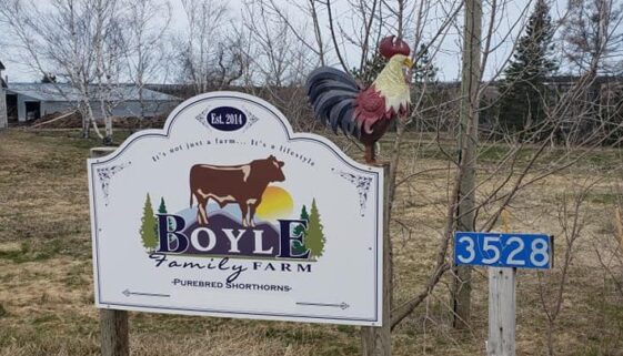 Boyle Family Farm