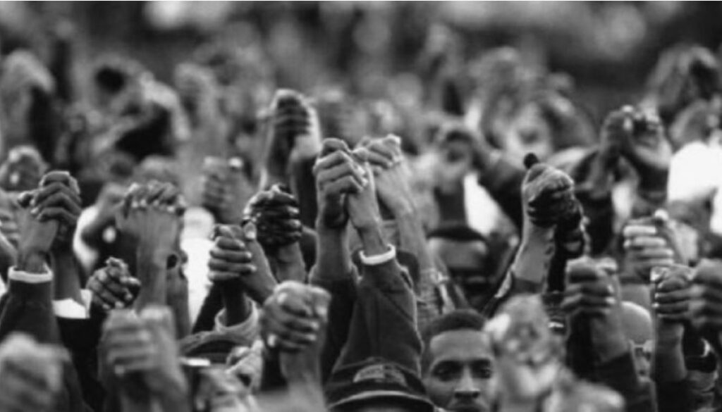 Black Lives Matter Solidarity Fund