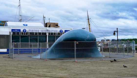 Halifax Wave - Disocver Halifax