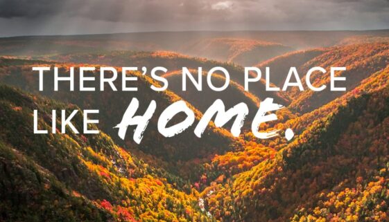 RediscoverNS_DigitalOOH 1728x864-3 PATTISON