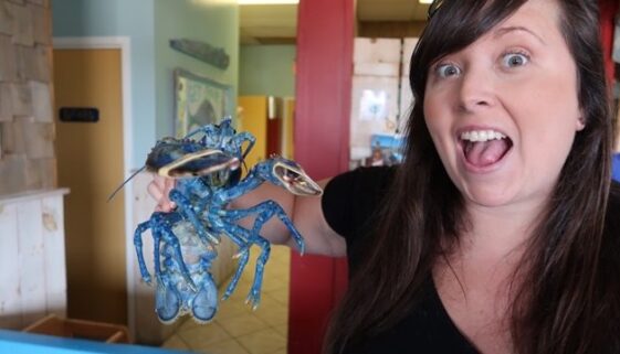 Cailin-with-a-blue-lobster