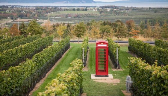 Luckett Vineyard - Image Facebook