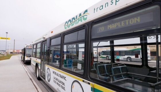 Codiac Transpo