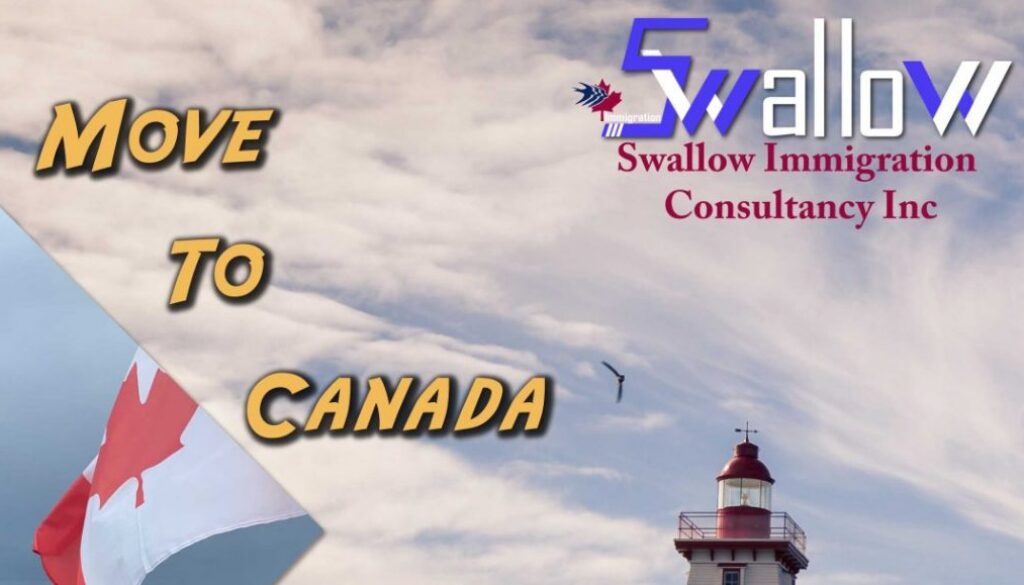 Swallow Immigration Consulting