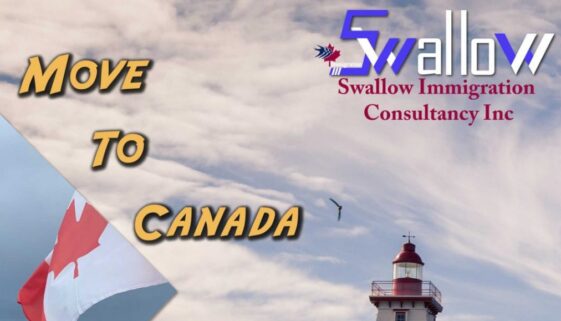 Swallow Immigration Consulting