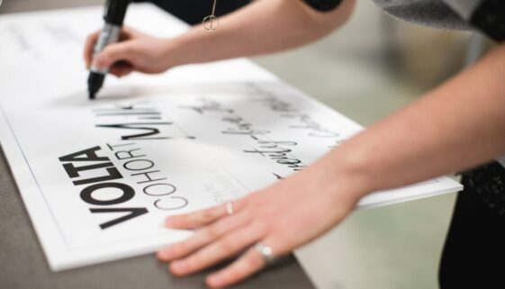 Volta Cohort - image submitted