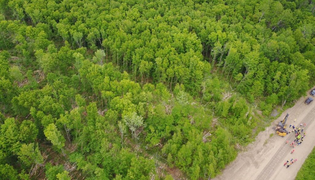 19095736_1481495211873941_2333454792490977748_o