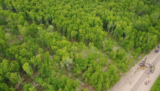 19095736_1481495211873941_2333454792490977748_o