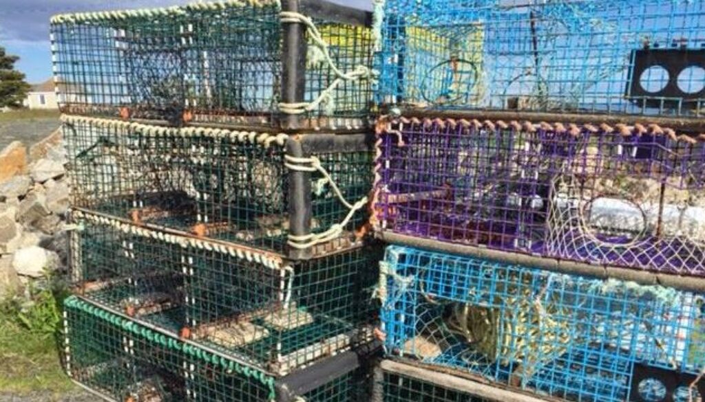 Lobster-traps