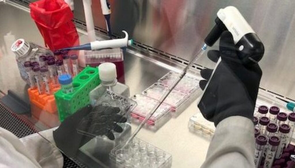 Soricimed Lab Image - 1