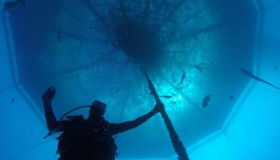 DCIM105GOPROGOPR1979.