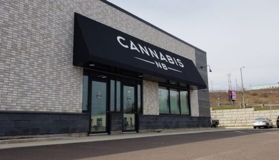 cannabis-NB-store-wyse-810x394