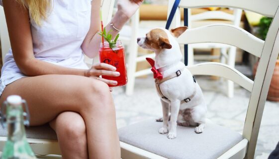 tamara-bellis-OjuwZq13RH0-unsplash