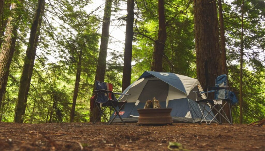 everett-mcintire-BPCsppbNRMI-unsplash