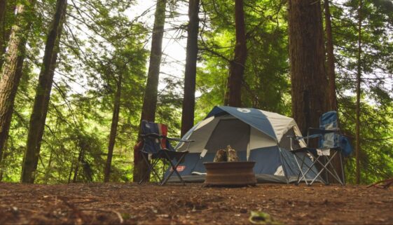 everett-mcintire-BPCsppbNRMI-unsplash