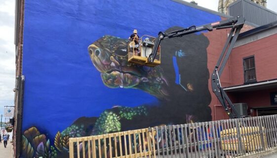 MicrosoftTeams-image (4)