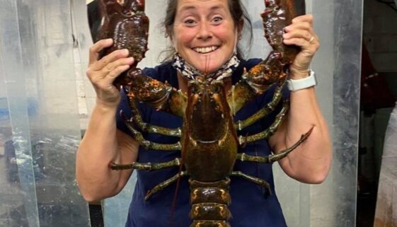 big-lobster-quai-aboiteau-820x1024