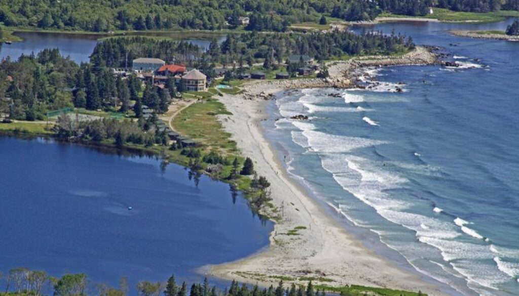 White Point facebook