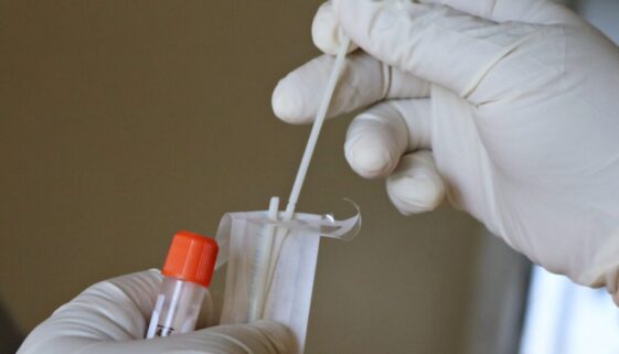 Mufid Majnun Unsplash