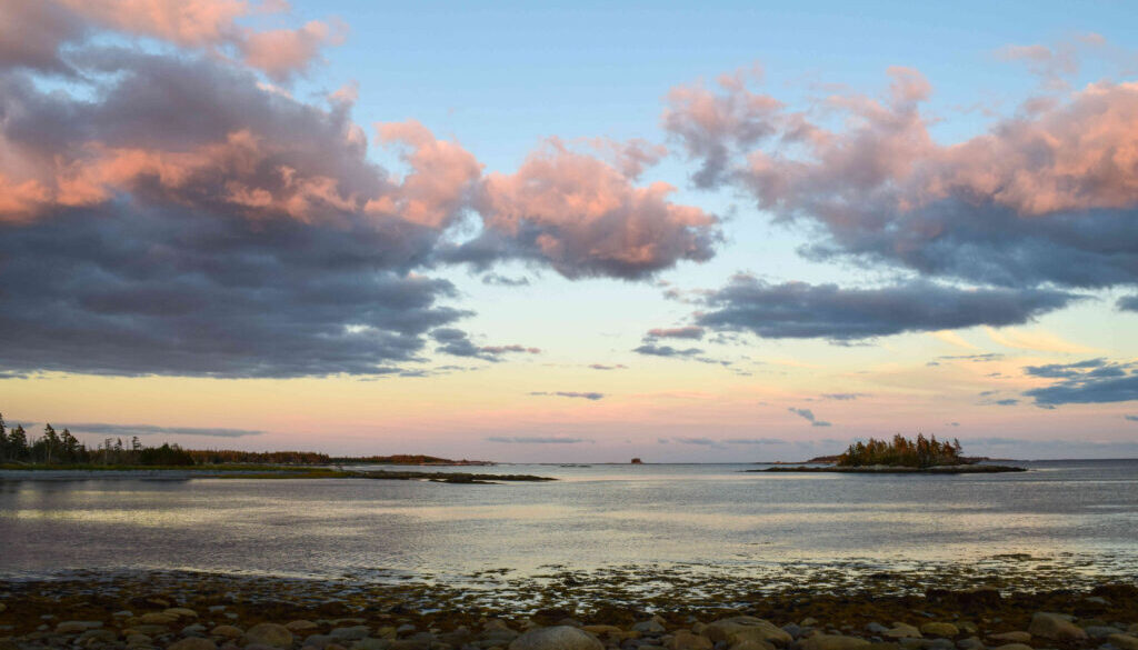 Stephen Glazier Owls Head (1)