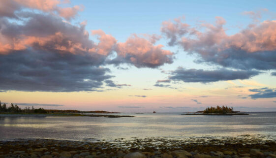 Stephen Glazier Owls Head (1)