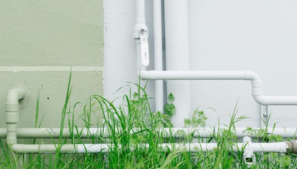 Photo by Kyle Glenn on Unsplash