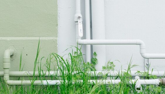 Photo by Kyle Glenn on Unsplash