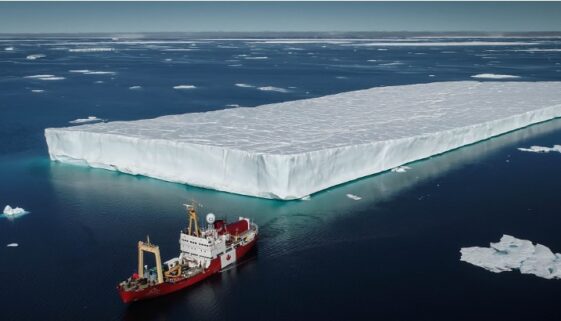Polar Prince