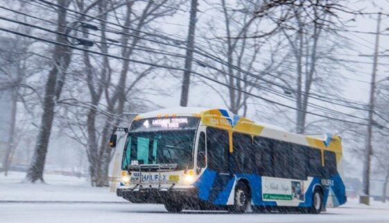 Image Halifax transit