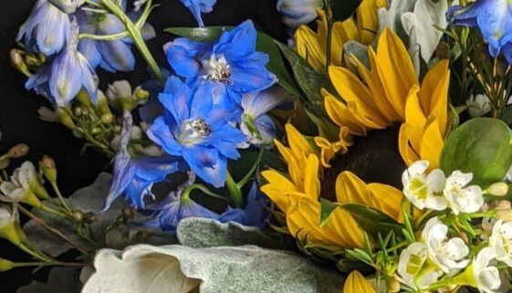 274788688_4731892496936364_5010418762027431119_n