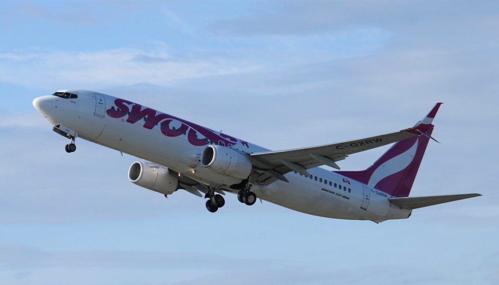 Mackenzie Cole CC Swoop