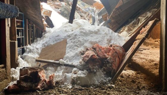 Photo courtesy of Melissa Rommens 2-min