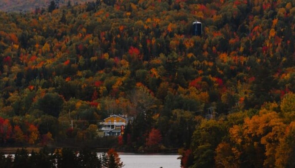 jan-walter-luigi-7t4sLKNwTfw-unsplash