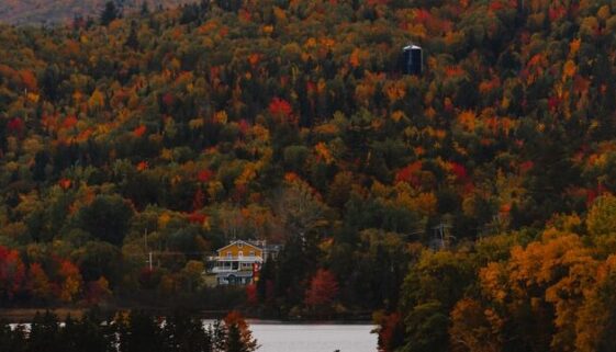 jan-walter-luigi-7t4sLKNwTfw-unsplash